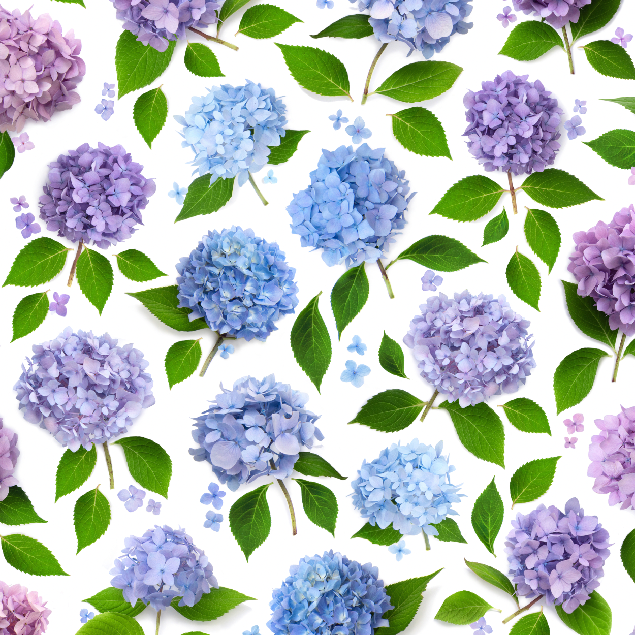 ♡hydrangea メモ♡ Hydrangea Flower Stationery & Botanical Paper Goods | Bottle