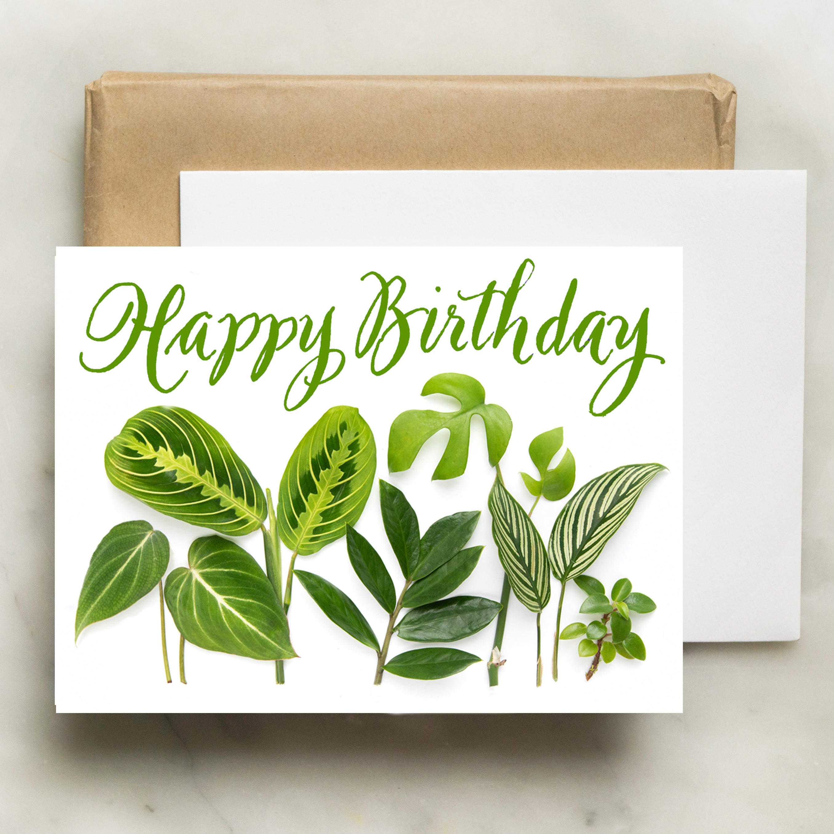 Birthday Card with Houseplants