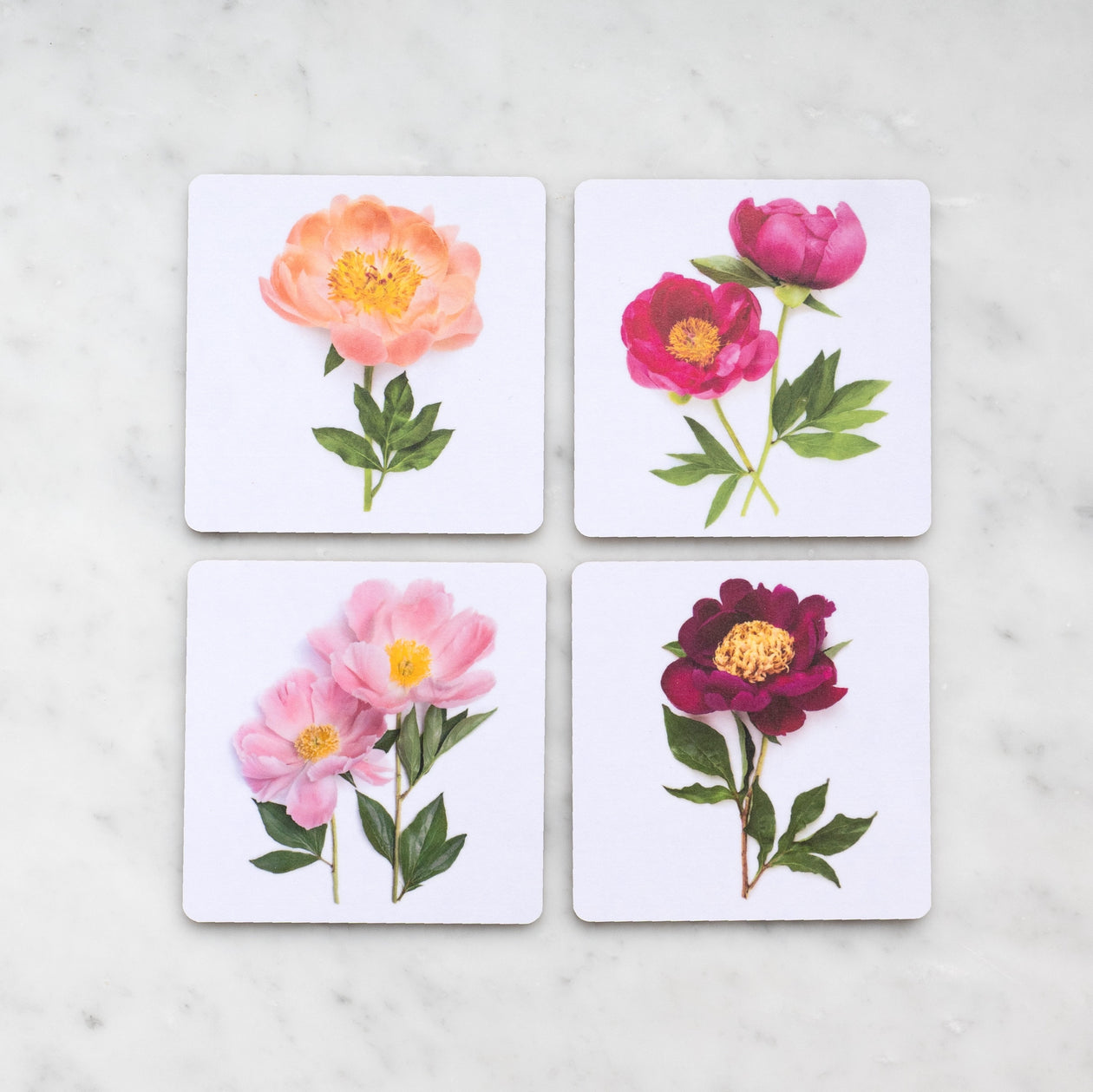 Coasters - Peony Flowers