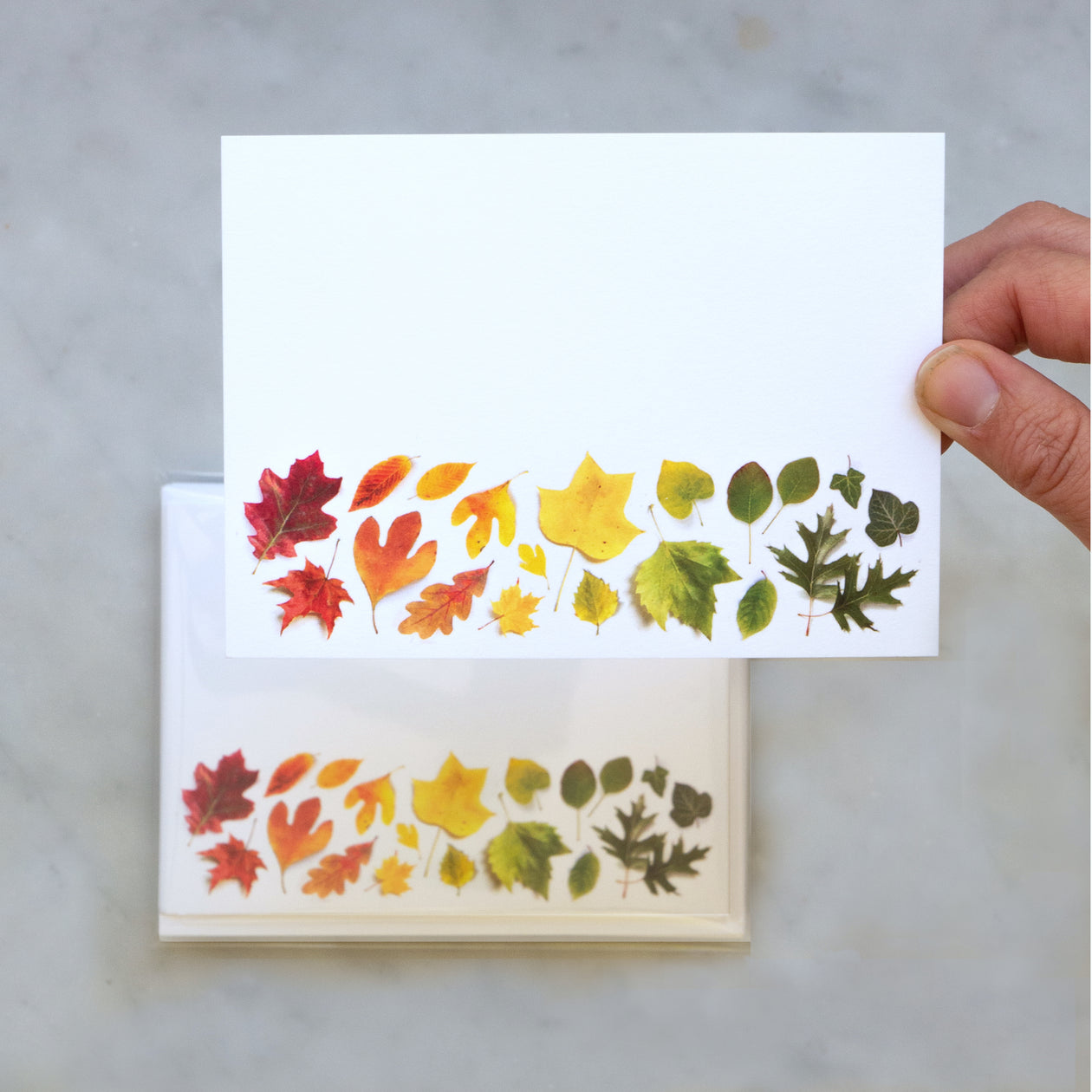 Flat cards ~ Autumn Leaves