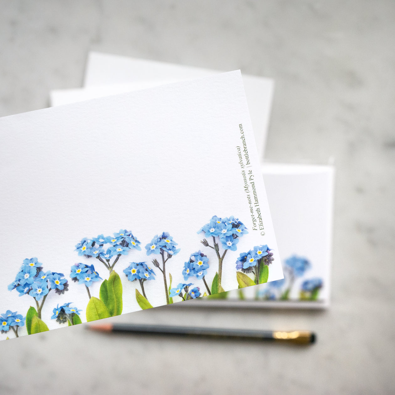 Flat cards - Forget-me-not
