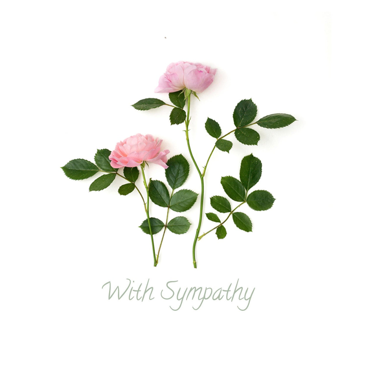 Sympathy card - Roses