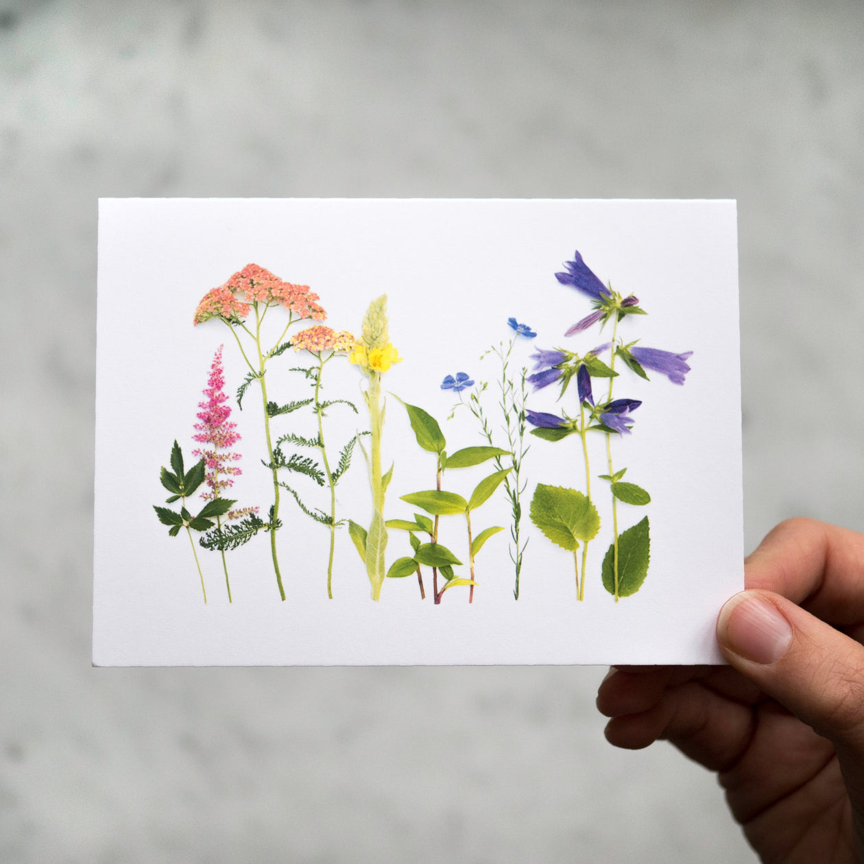 Folding card - Wildflowers and Weeds