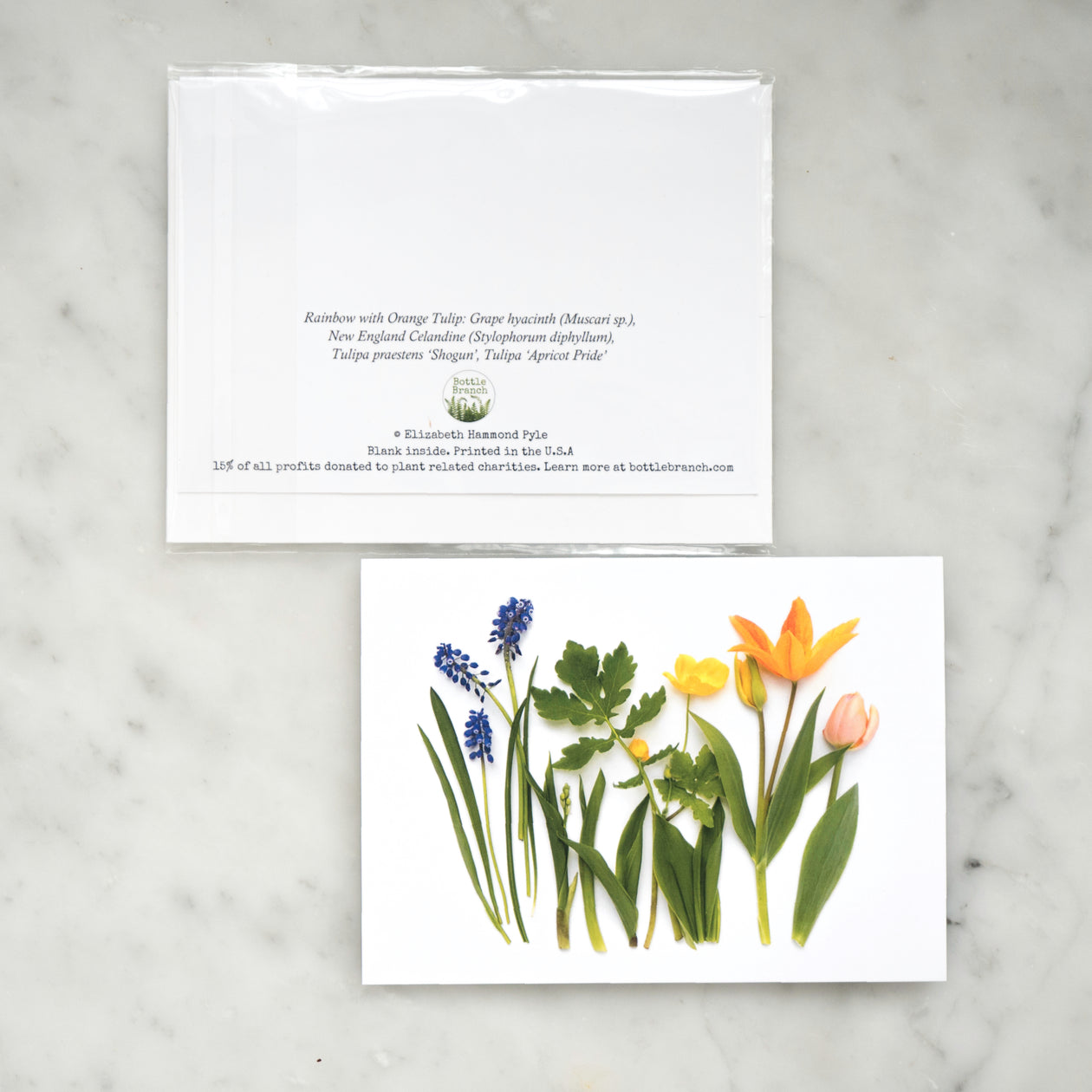 Folding card - Spring rainbow with orange tulip