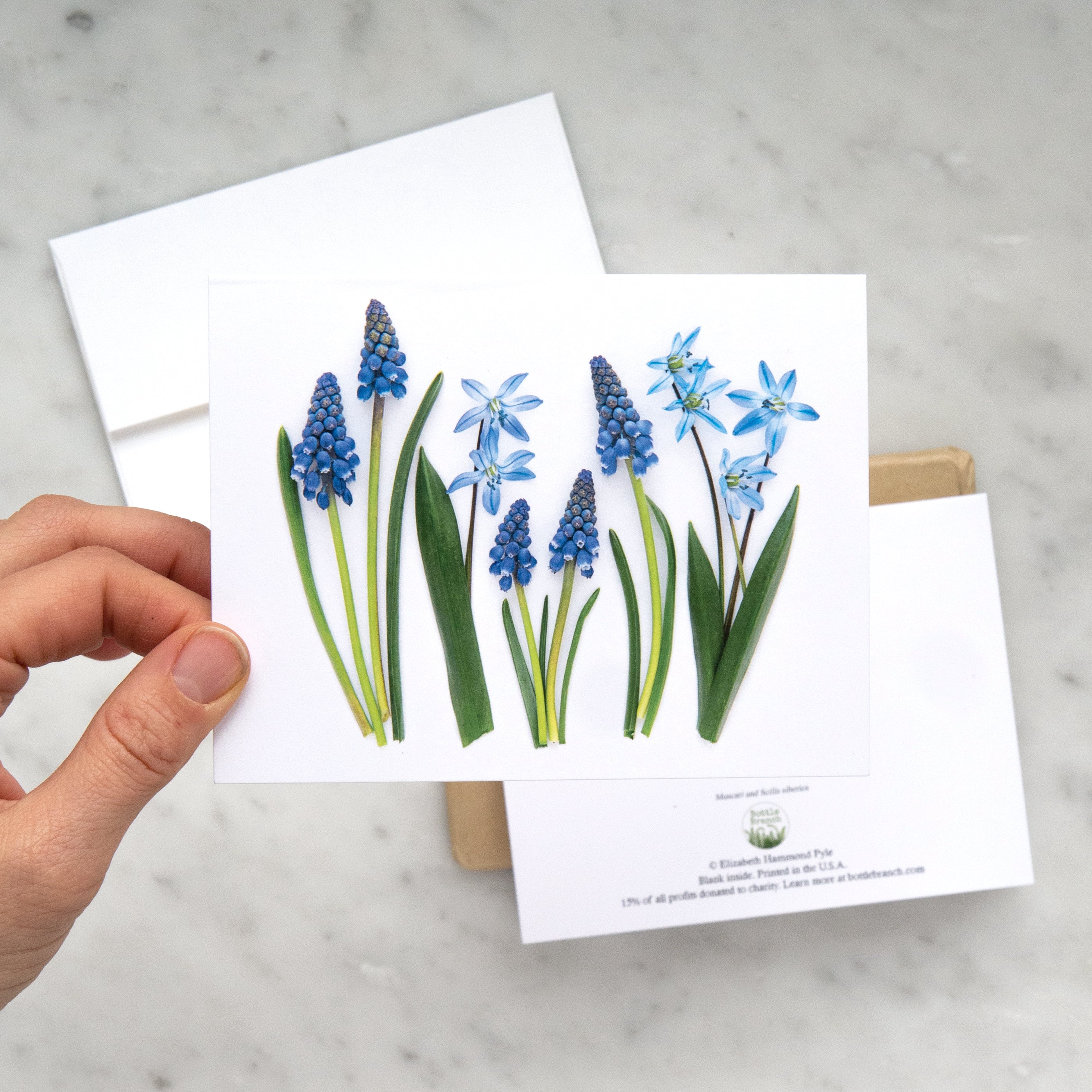 Blue Spring Card Spring! – BottleBranch