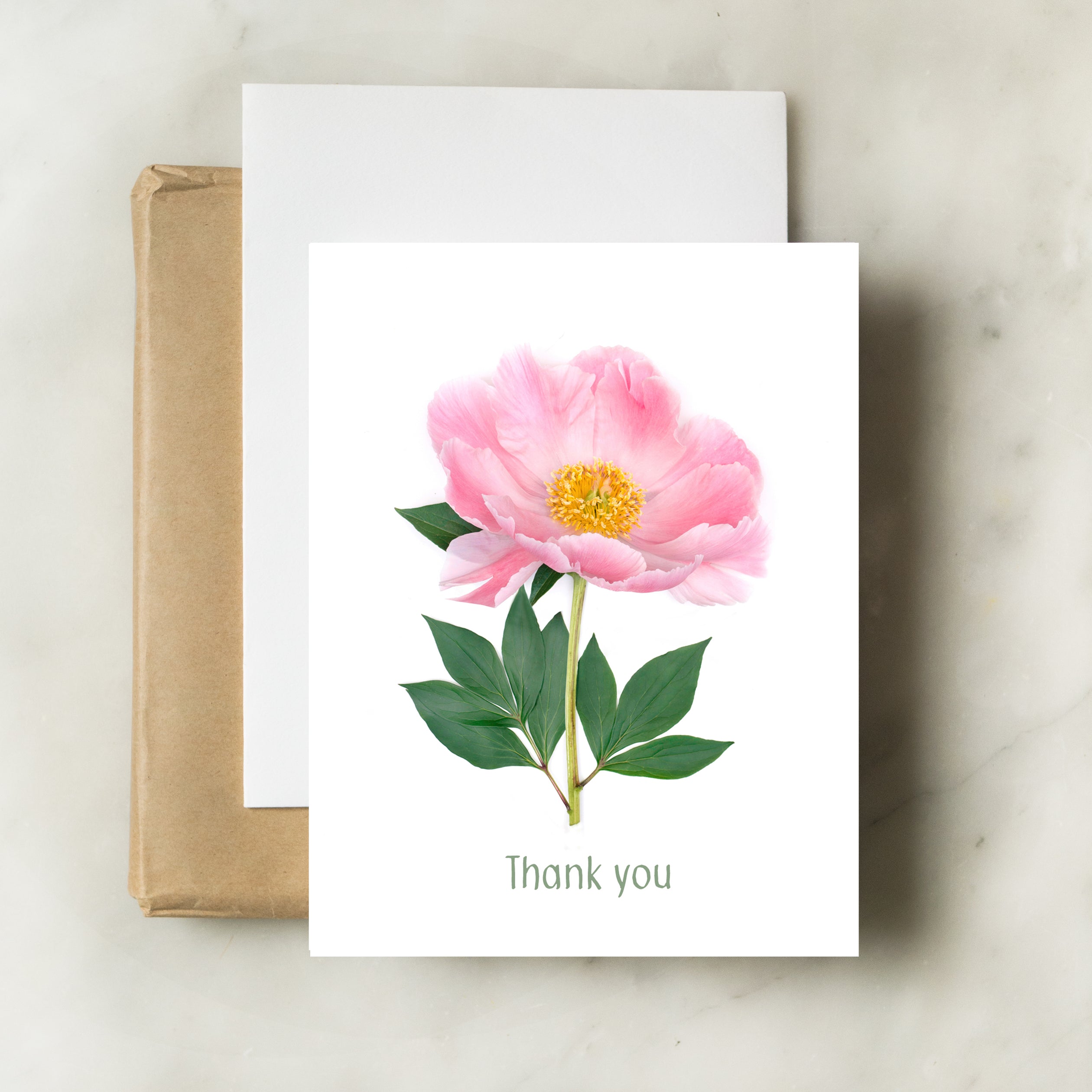 Peony Thank You | Greeting Card Peony Thank You | Greeting Card