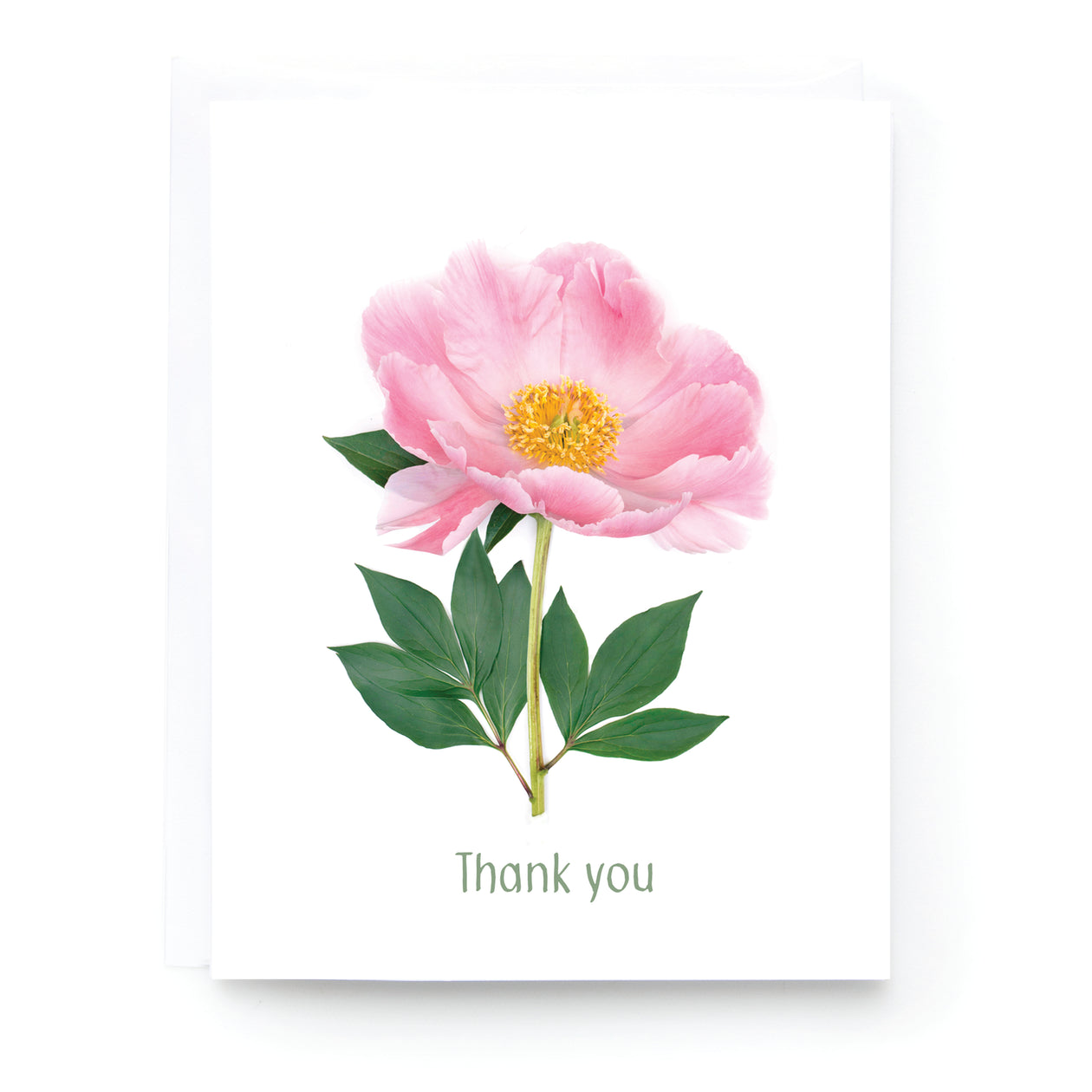 Thank you, Peony