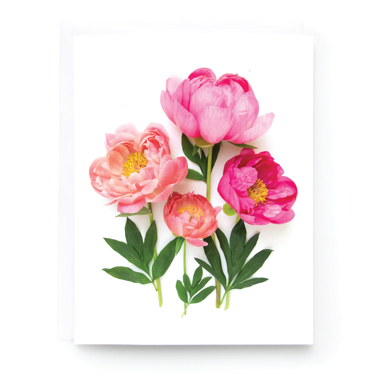 Folding card - Peony Flowers