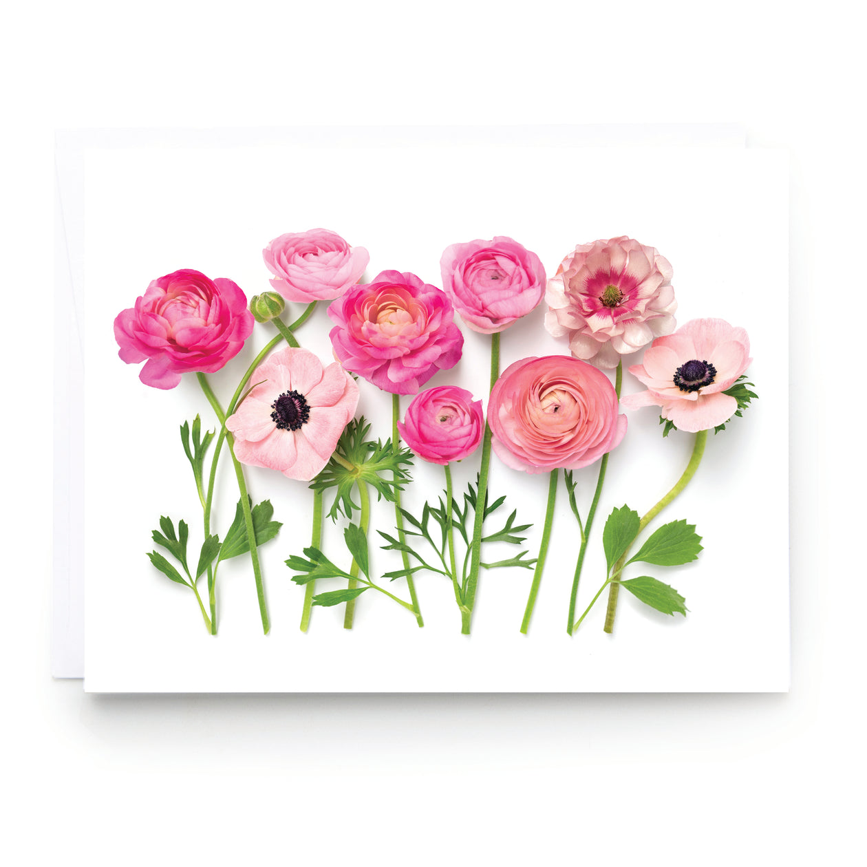Folding card - Pink Ranunculus