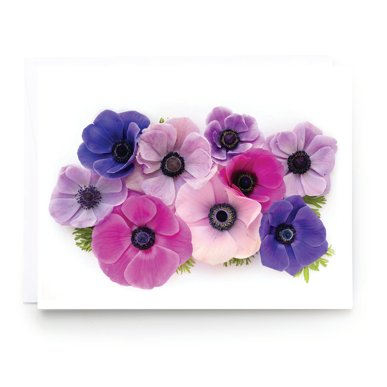 Folding card - Anemone Flowers
