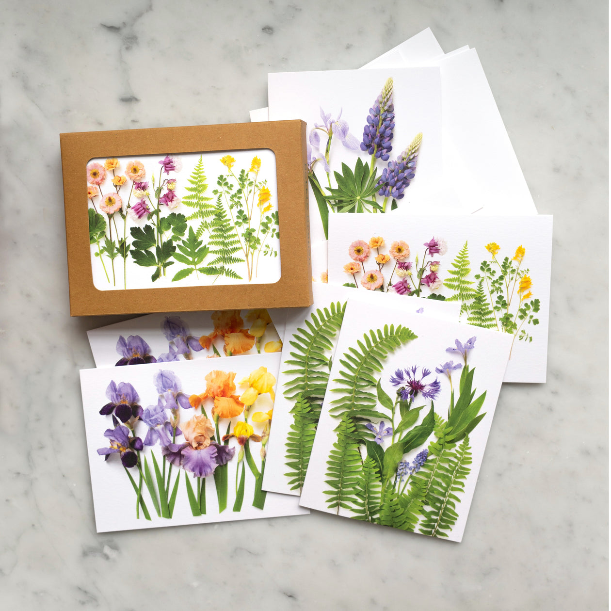 Card set - Ferns and Irises