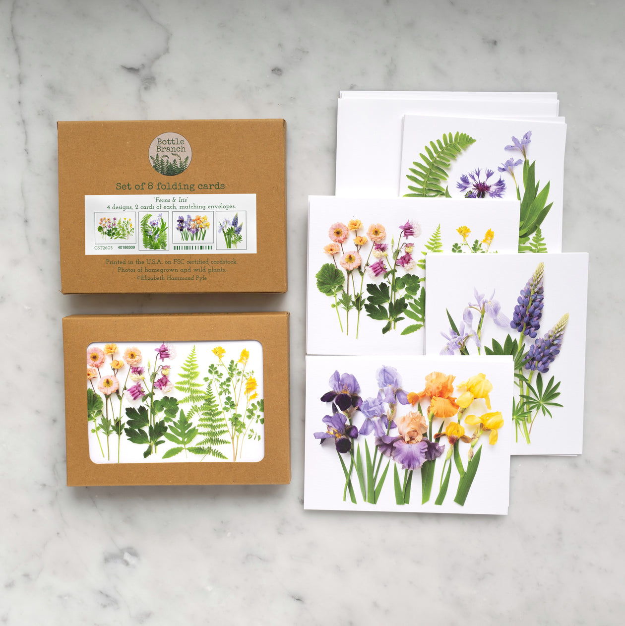 Card set - Ferns and Irises
