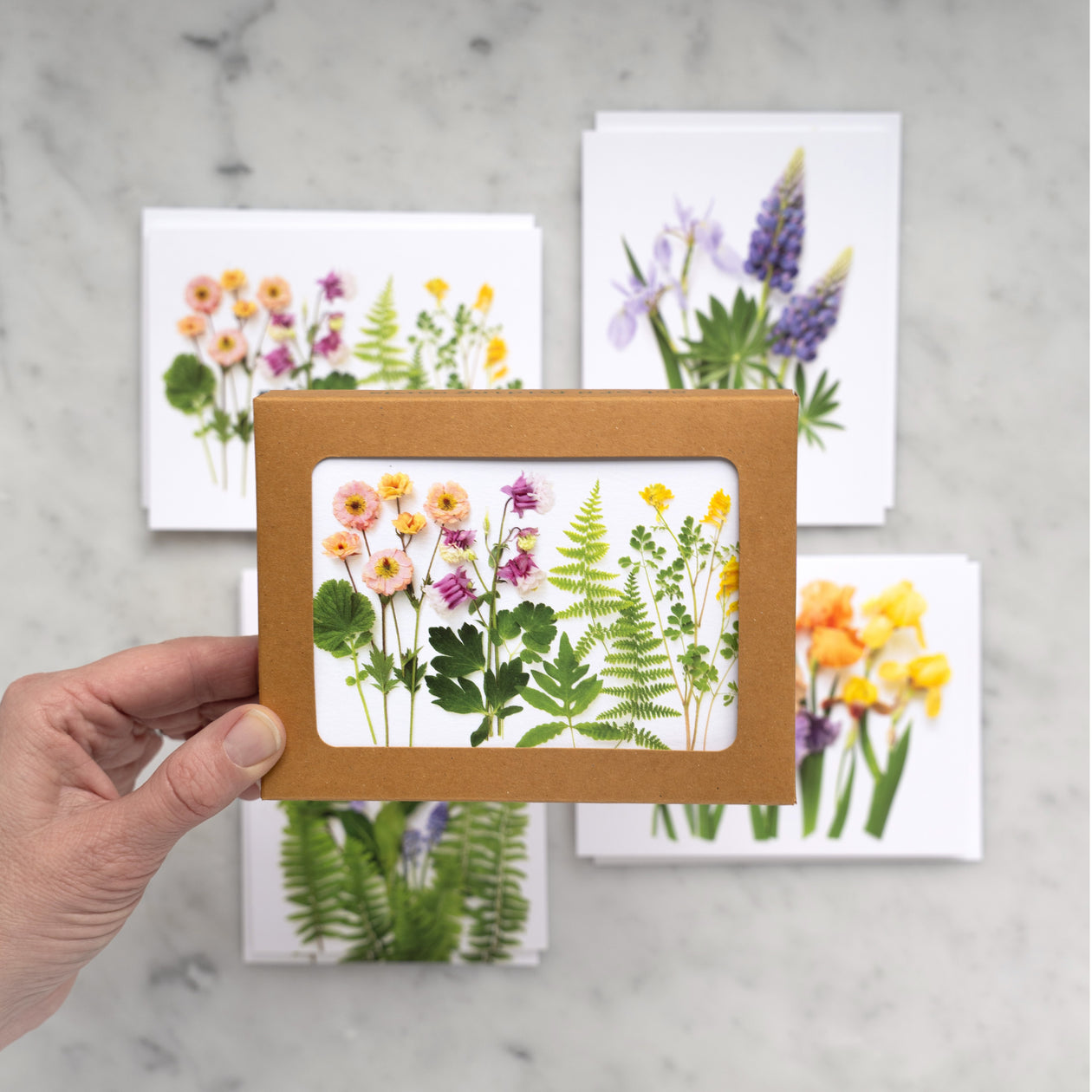 Card set - Ferns and Irises