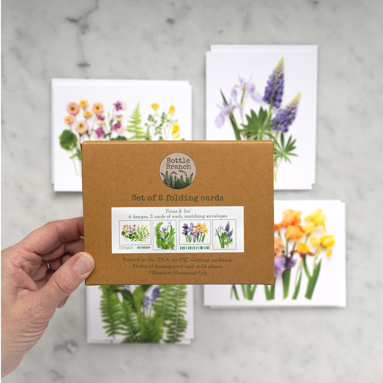 Card set - Ferns and Irises