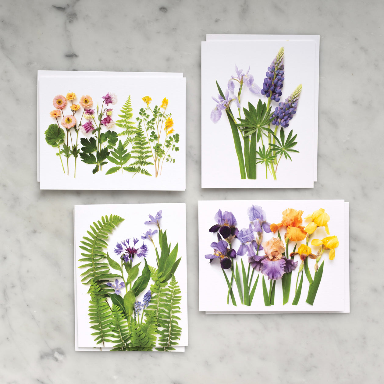 Card set - Ferns and Irises