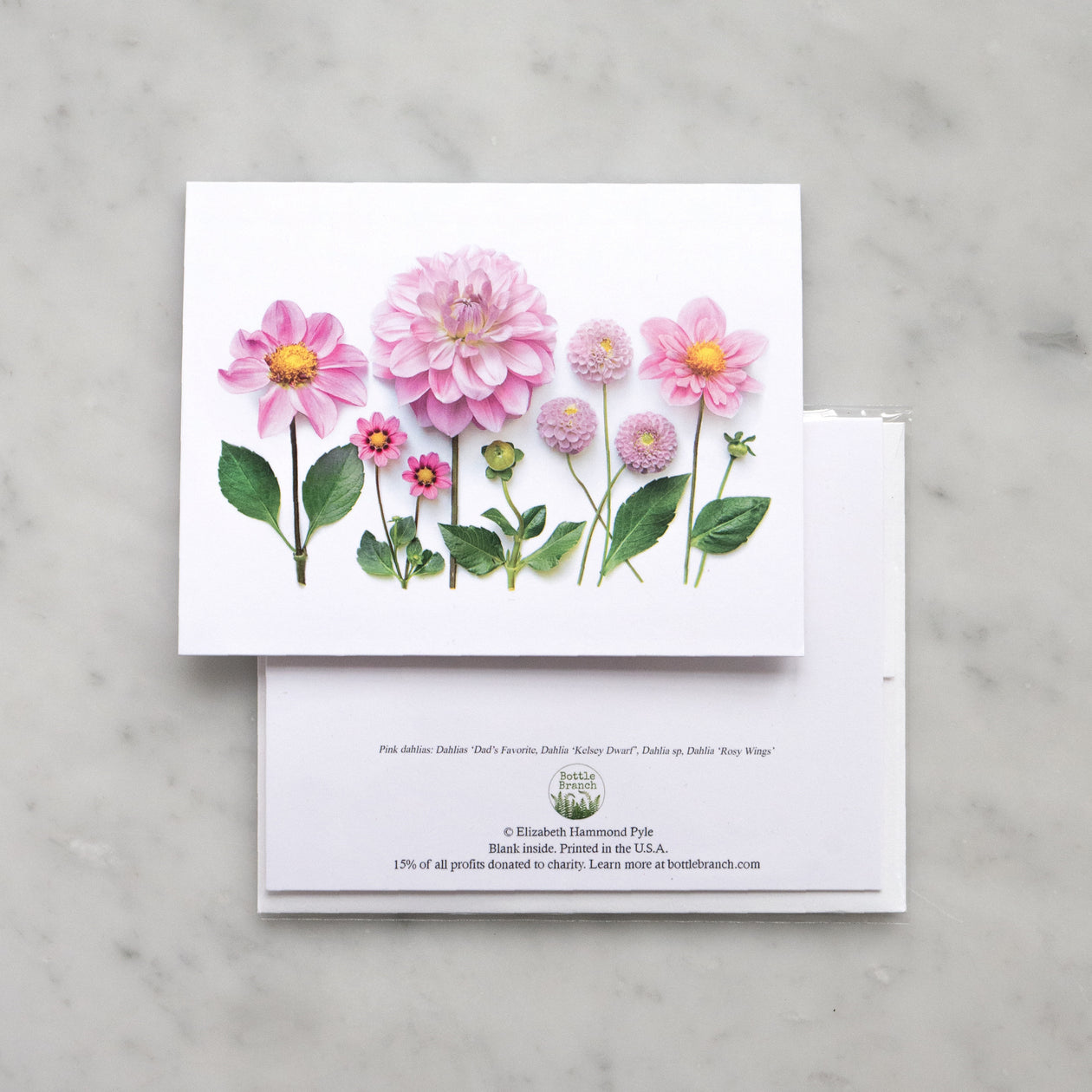 Folding card - Pink Dahlias