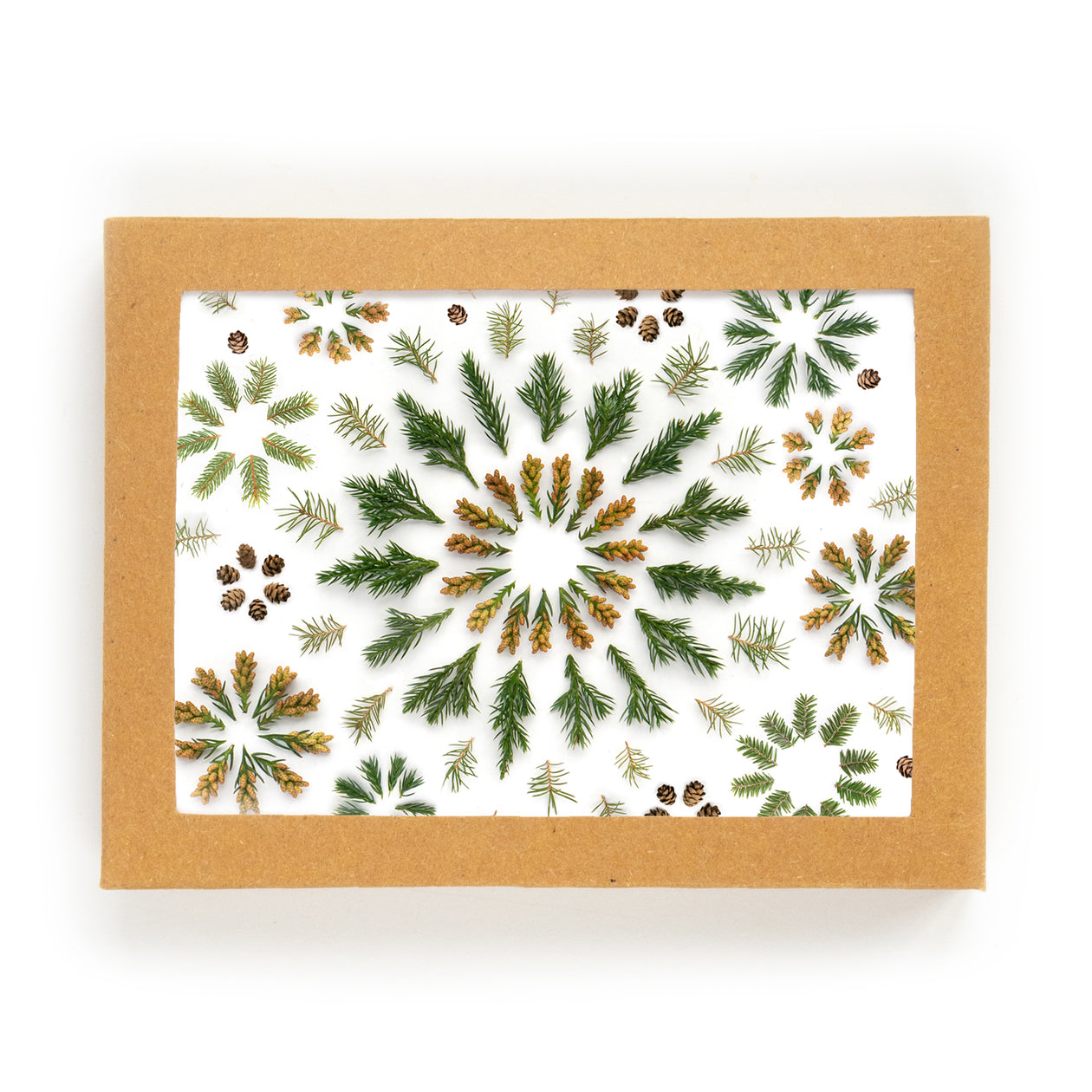 Card set - Evergreen Stars