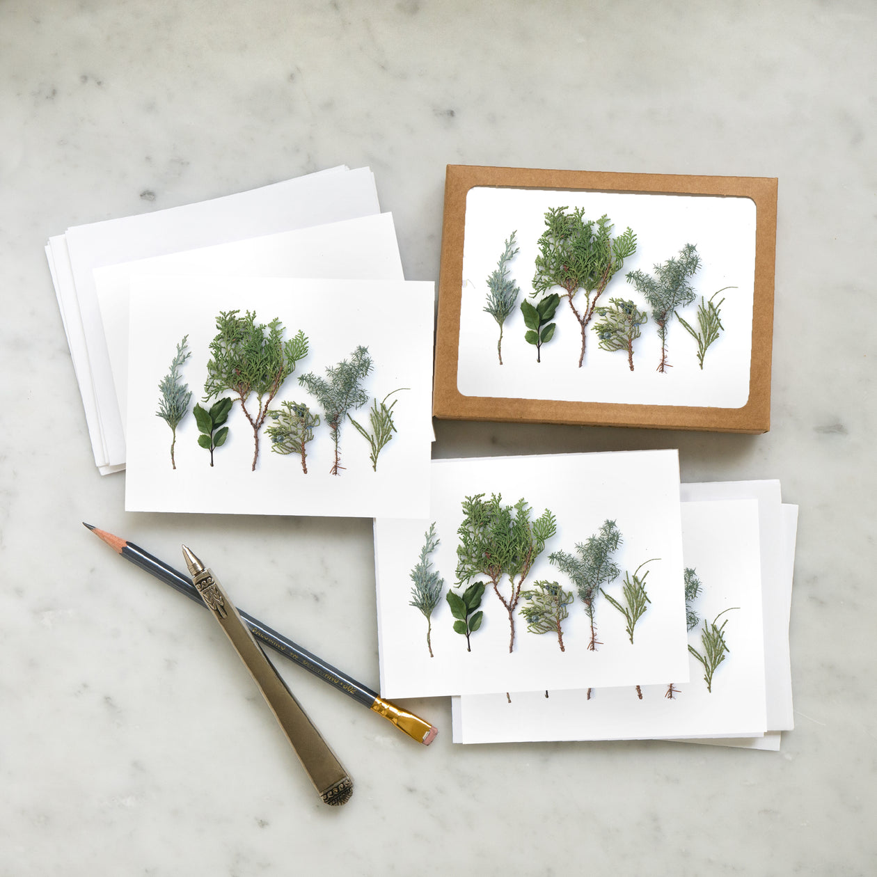 Card set -Baby Evergreens