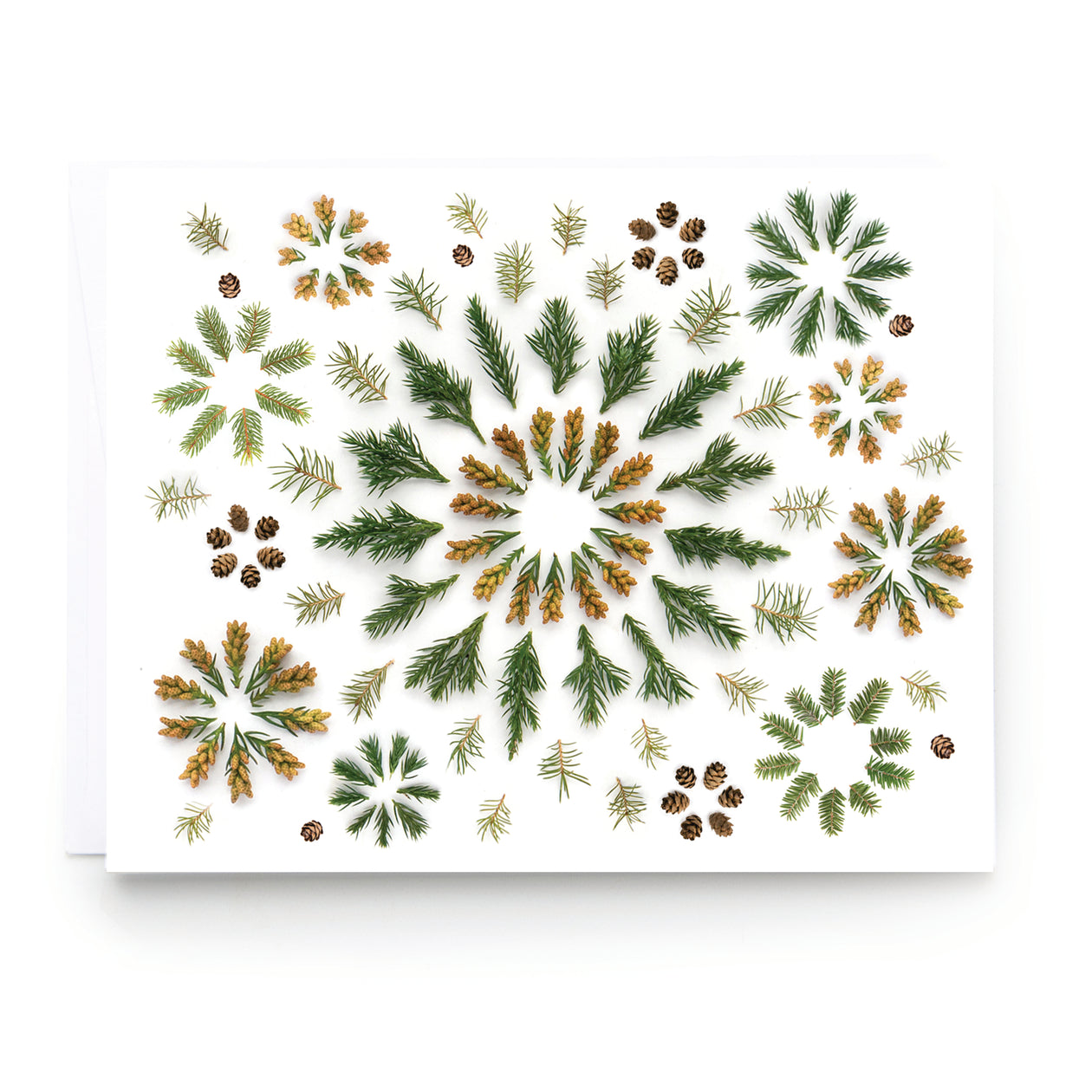 Folding card - Evergreen Stars