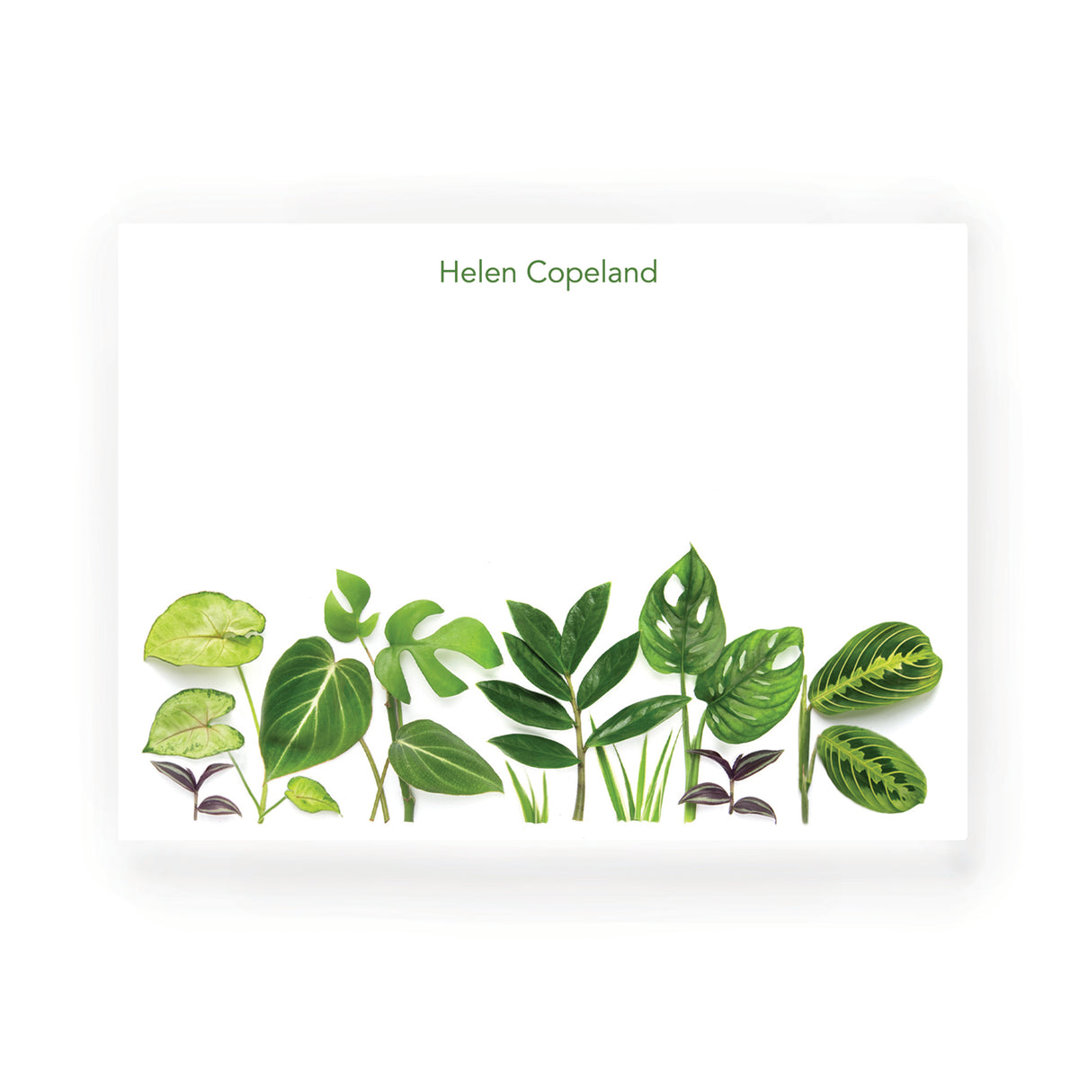 Personalized Houseplants Flat Card Set