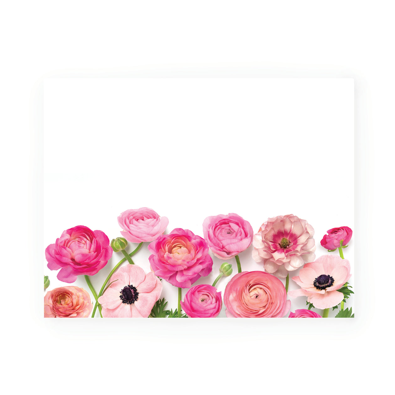 Flat card set - Pink Ranunculus