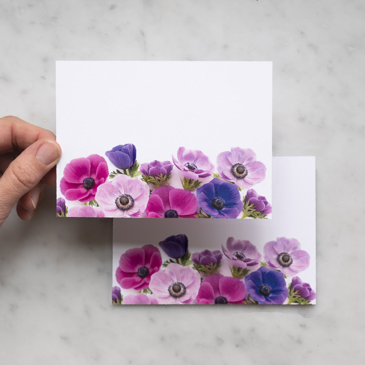 Flat card set - Anemone
