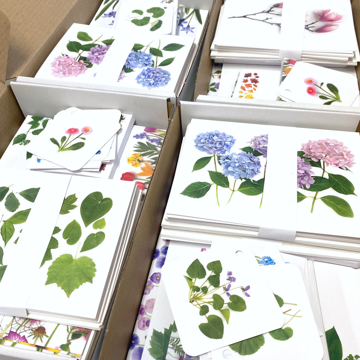 Mystery Box, Paper Lover's Edition SOLD OUT
