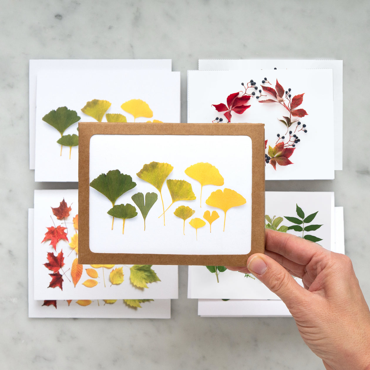 Card set - Leaves