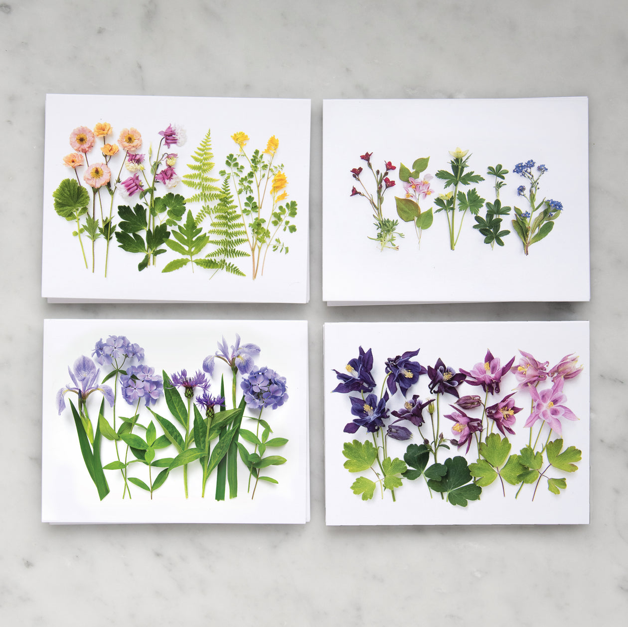 Card set - Spring Wildflowers