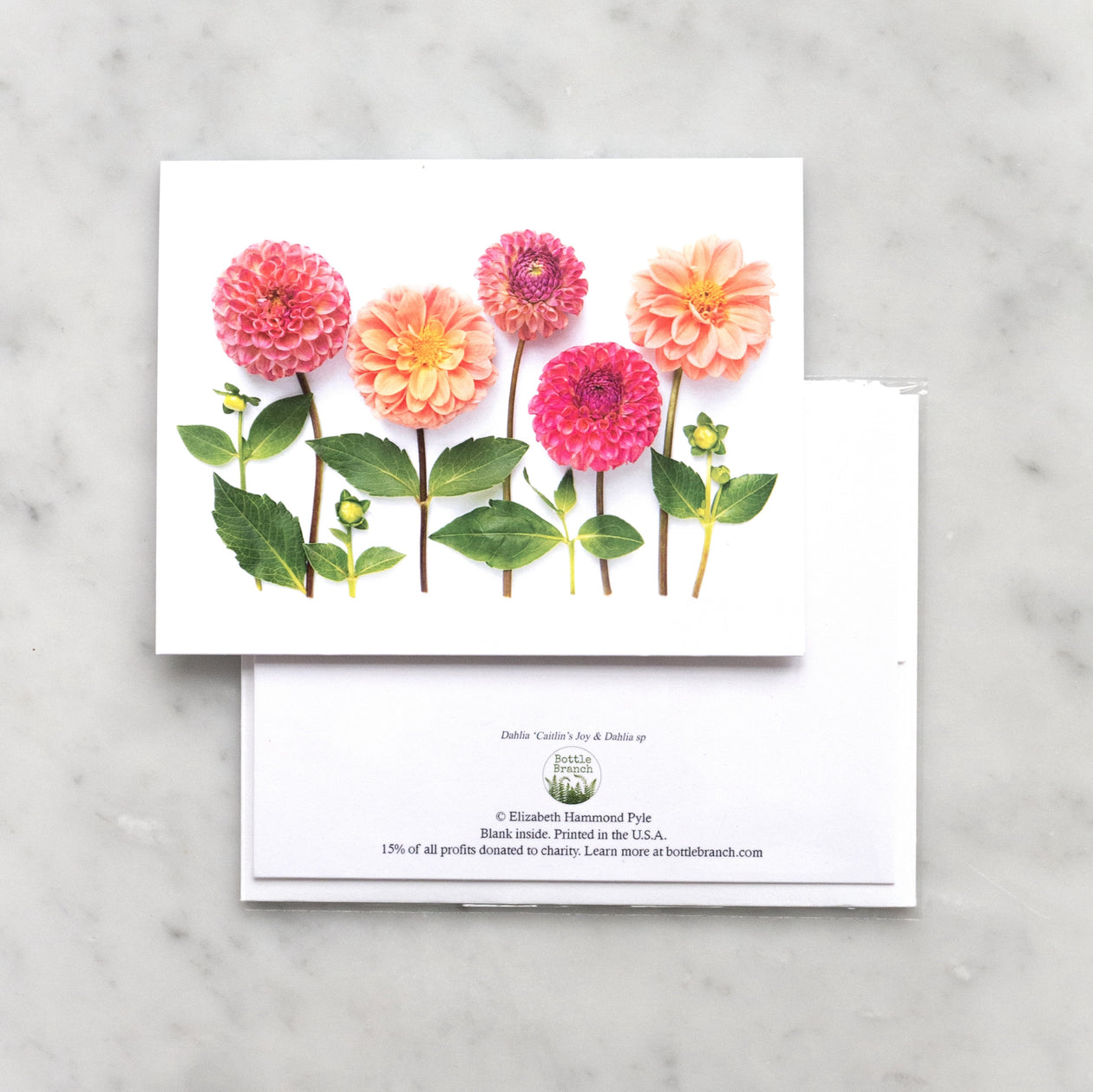 Folding card - Dahlia Garden