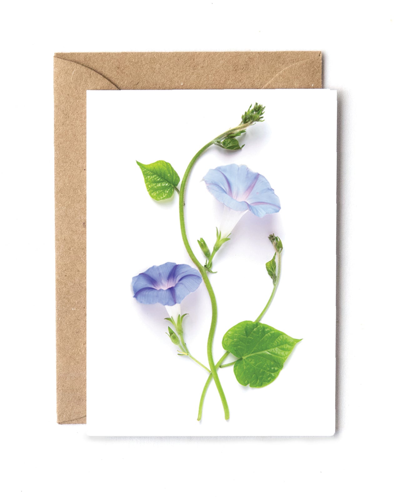 Mini card - Morning Glory