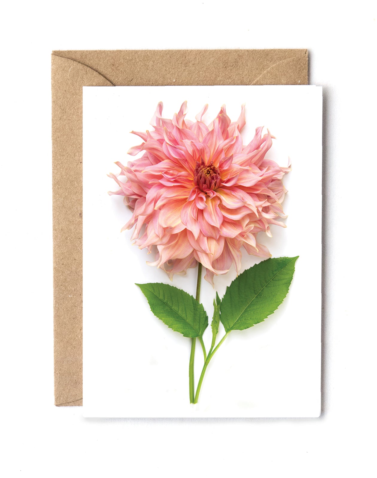 Mini card - Large Dahlia