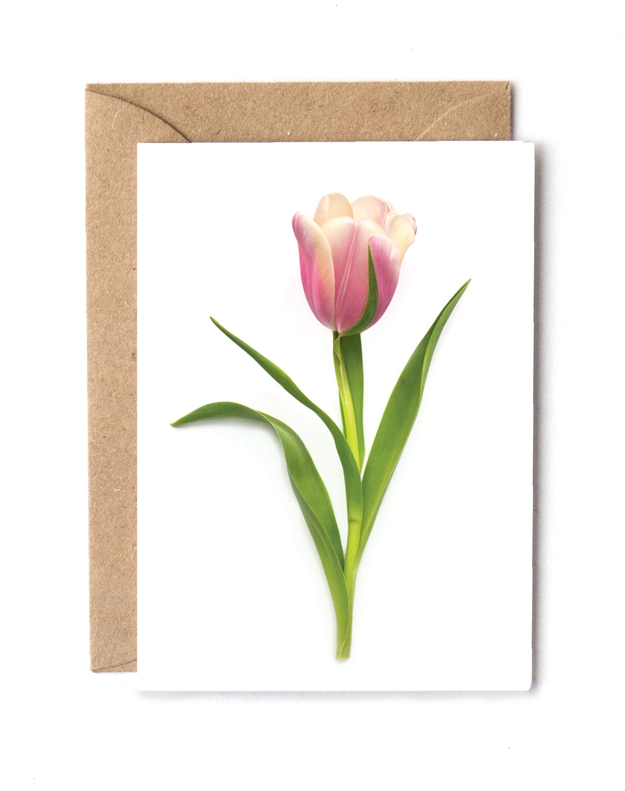 Mini card - Tulip