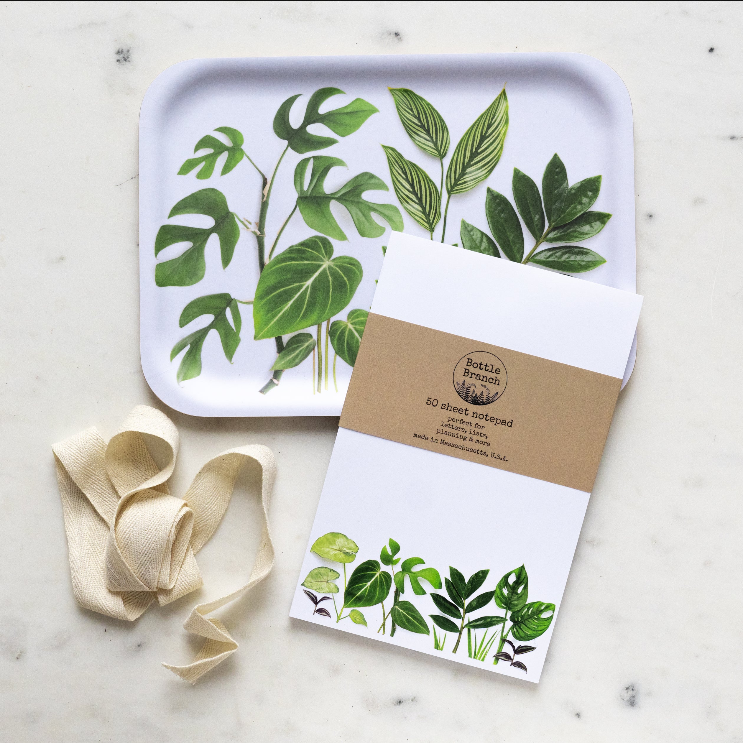 house plant gift set Gift set