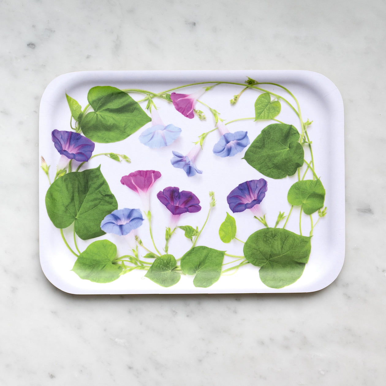 Tray - Morning Glory, Medium