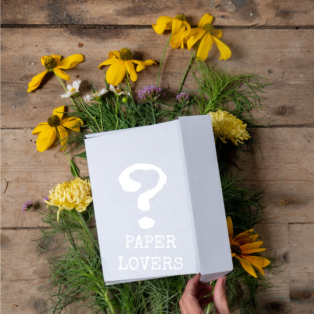 Mystery Box, Paper Lover's Edition SOLD OUT