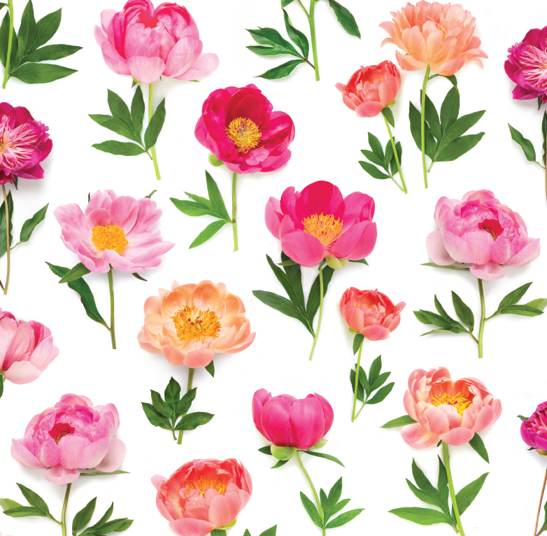 Gift wrap ~ Peony