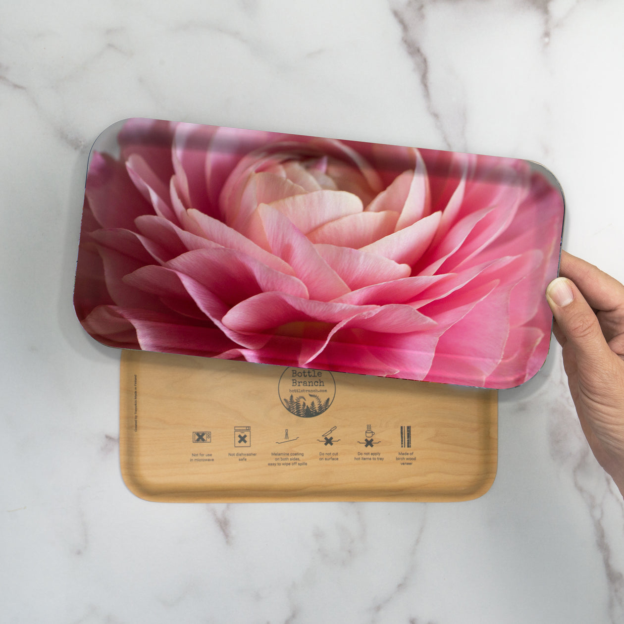 Tray - Pink Ranunculus