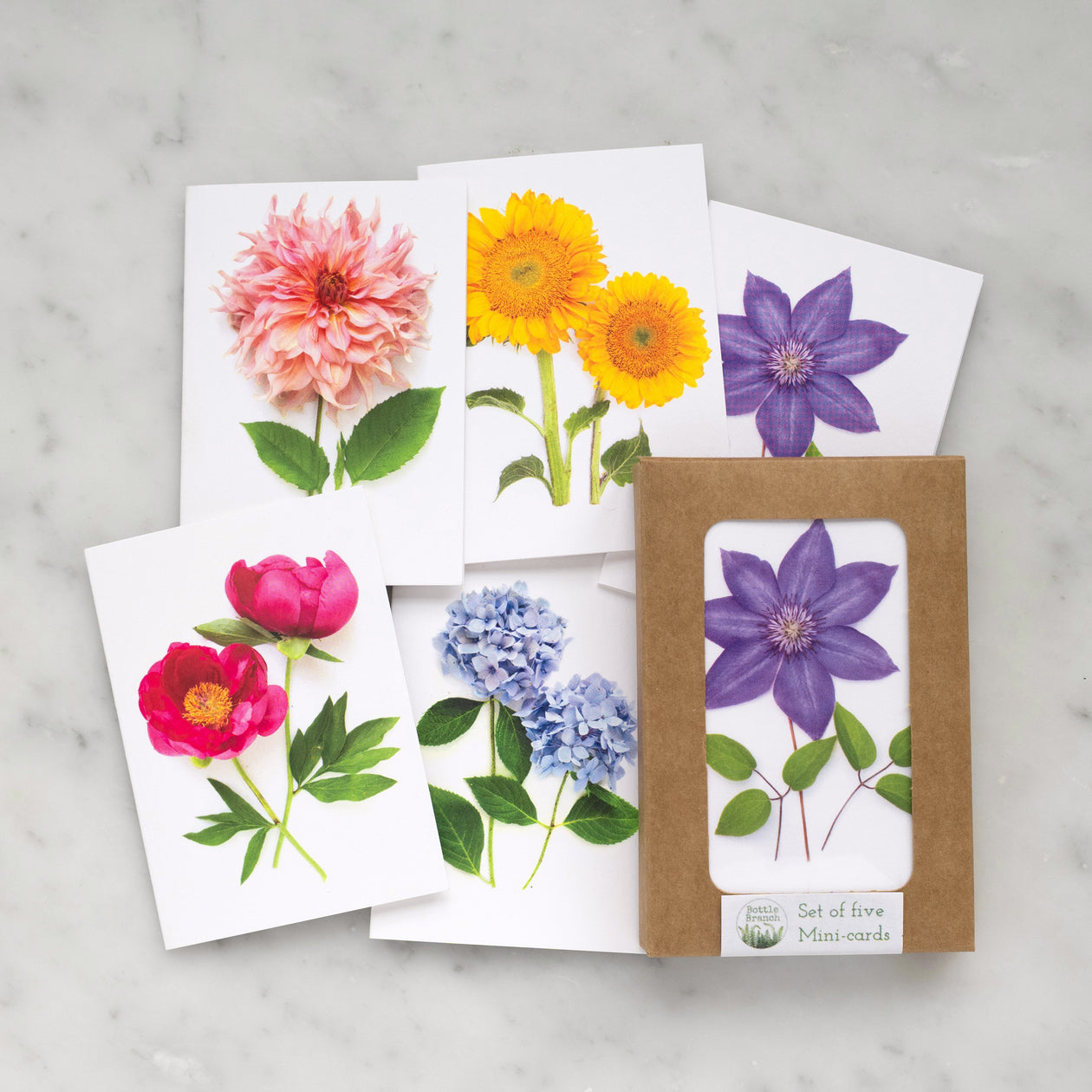 Set of Mini cards - Rainbow Flowers