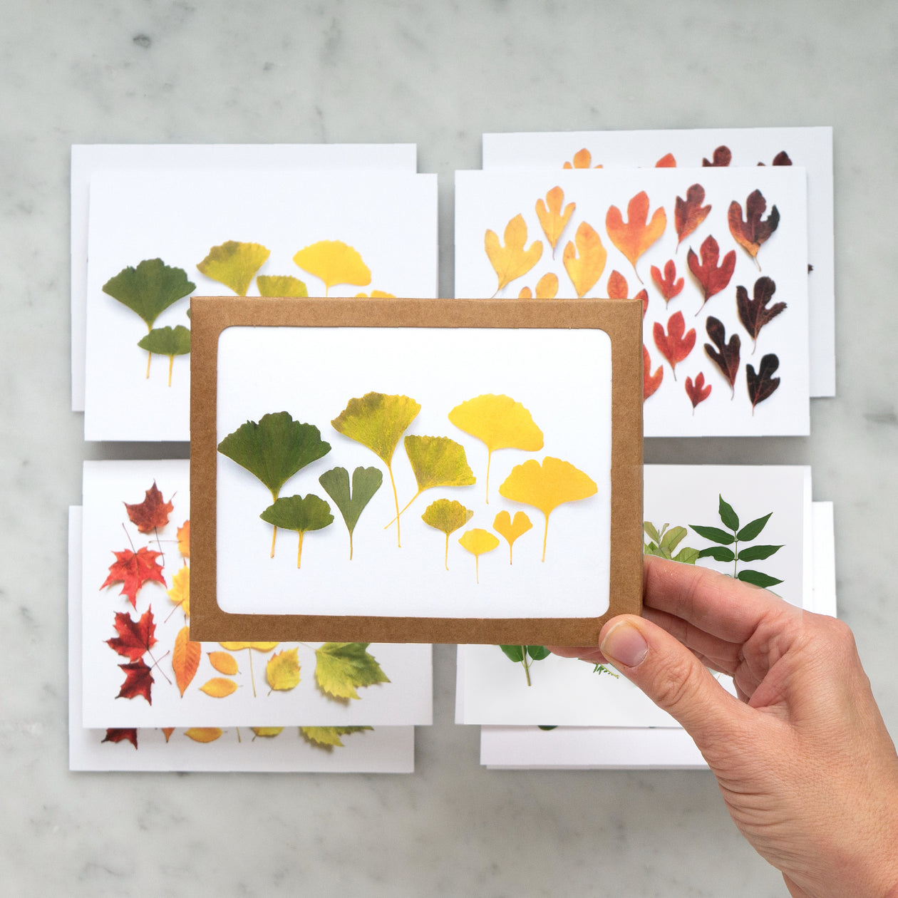 Card set - Leaves