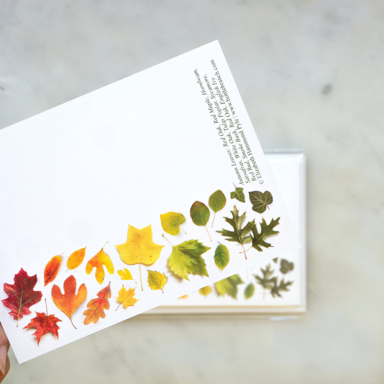 Flat cards ~ Autumn Leaves