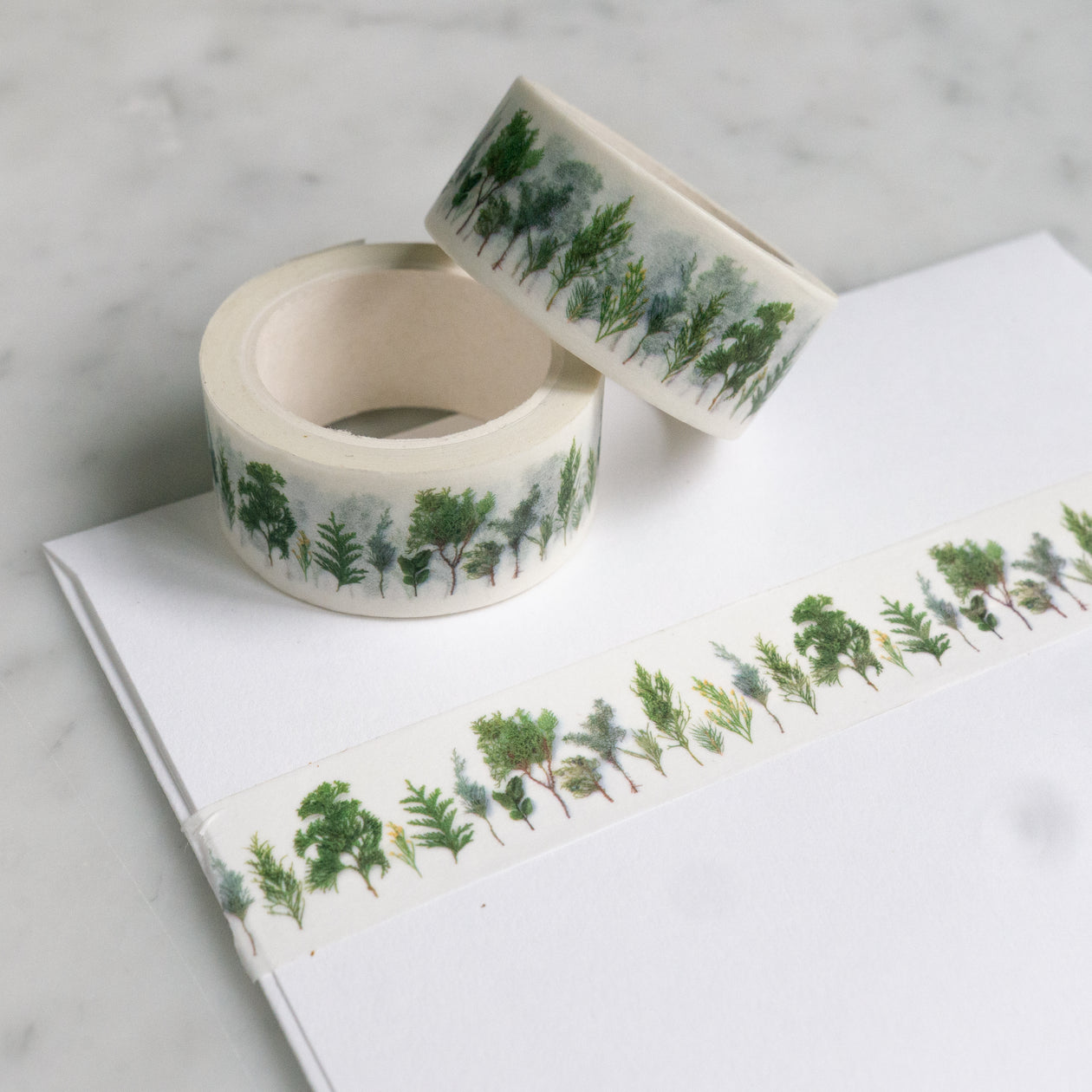 Washi tape - baby evergreens