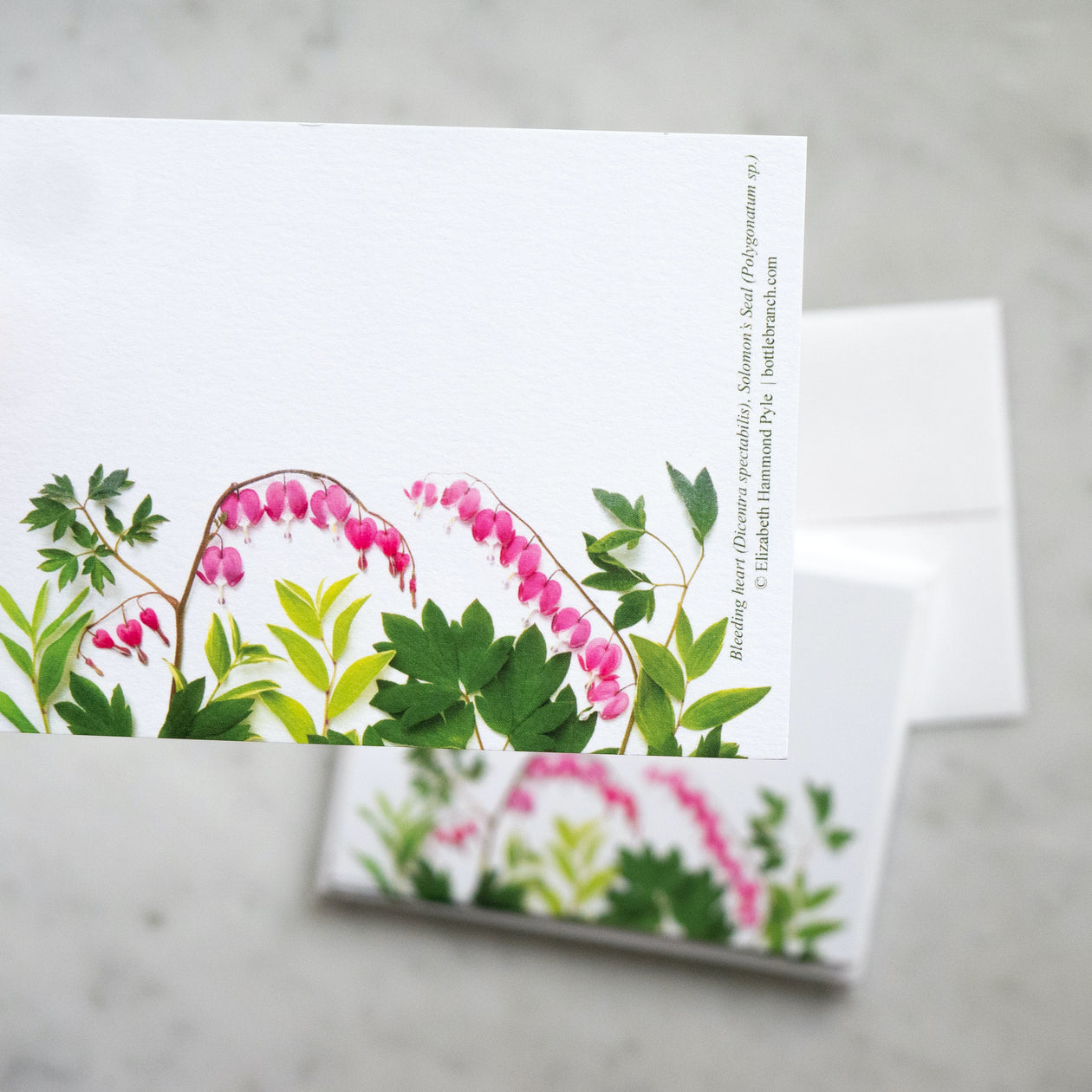 Flat card set - Bleeding Hearts Flowers