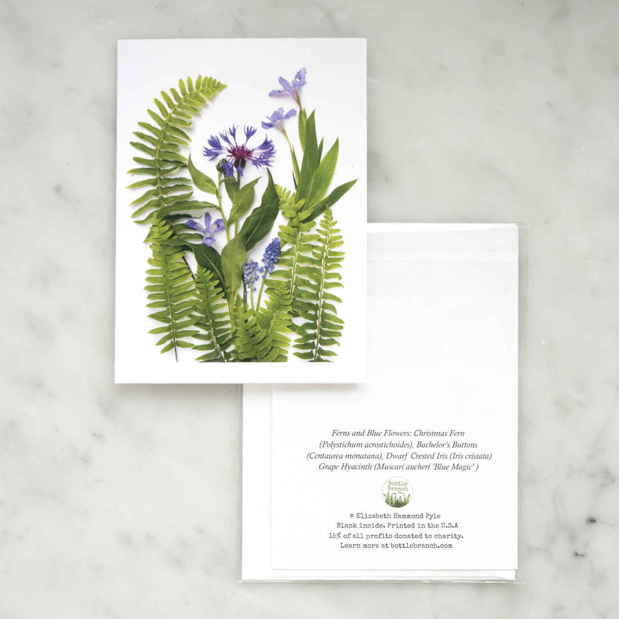 Folding card - Ferns and blue flowers