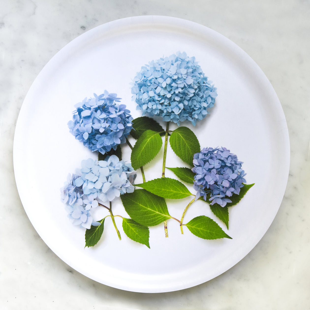 Round Tray - Blue hydrangea