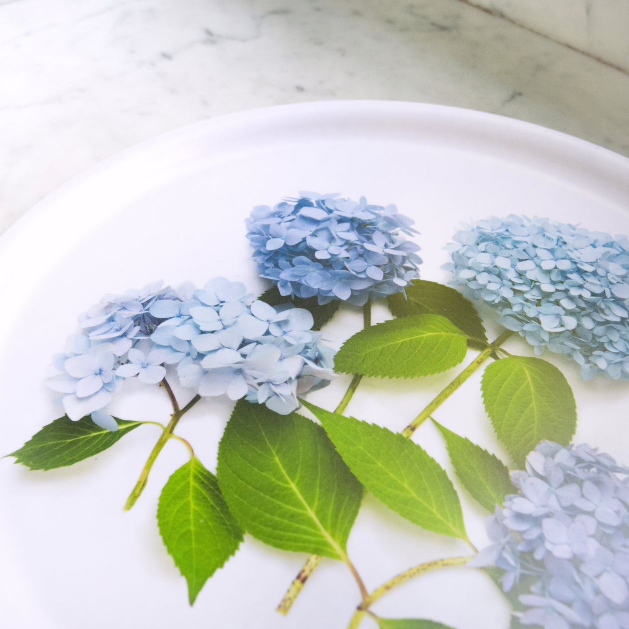 Round Tray - Blue hydrangea
