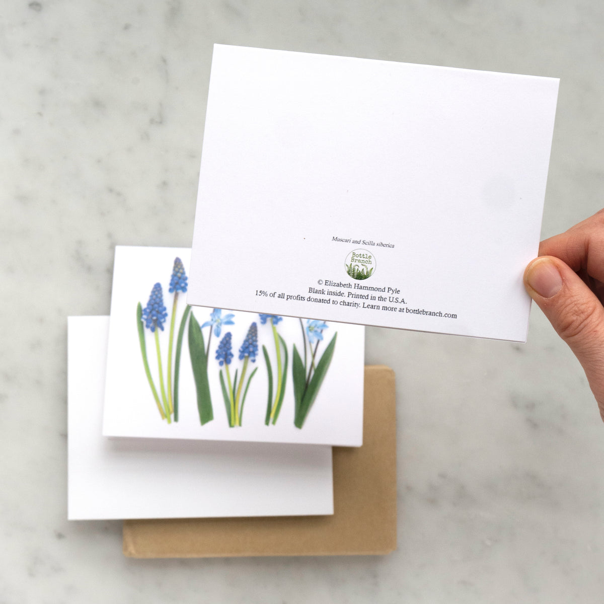 Blue Spring Card Folding card - Blue Spring card – BottleBranch