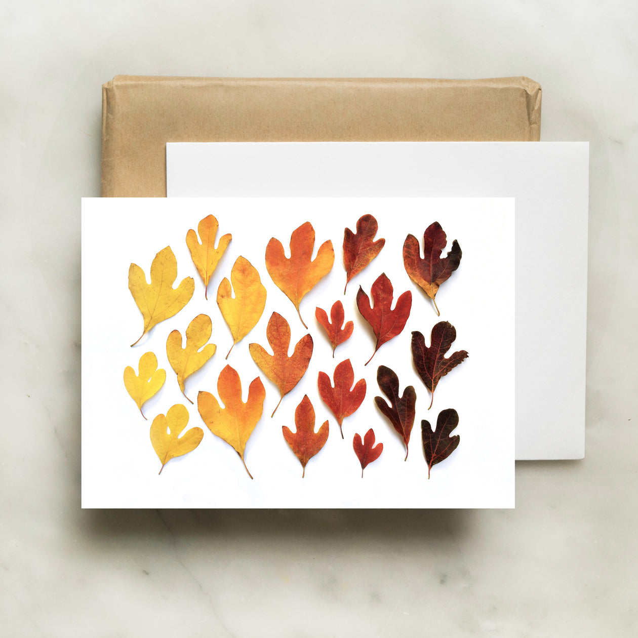 Folding card - Sassafras ombré