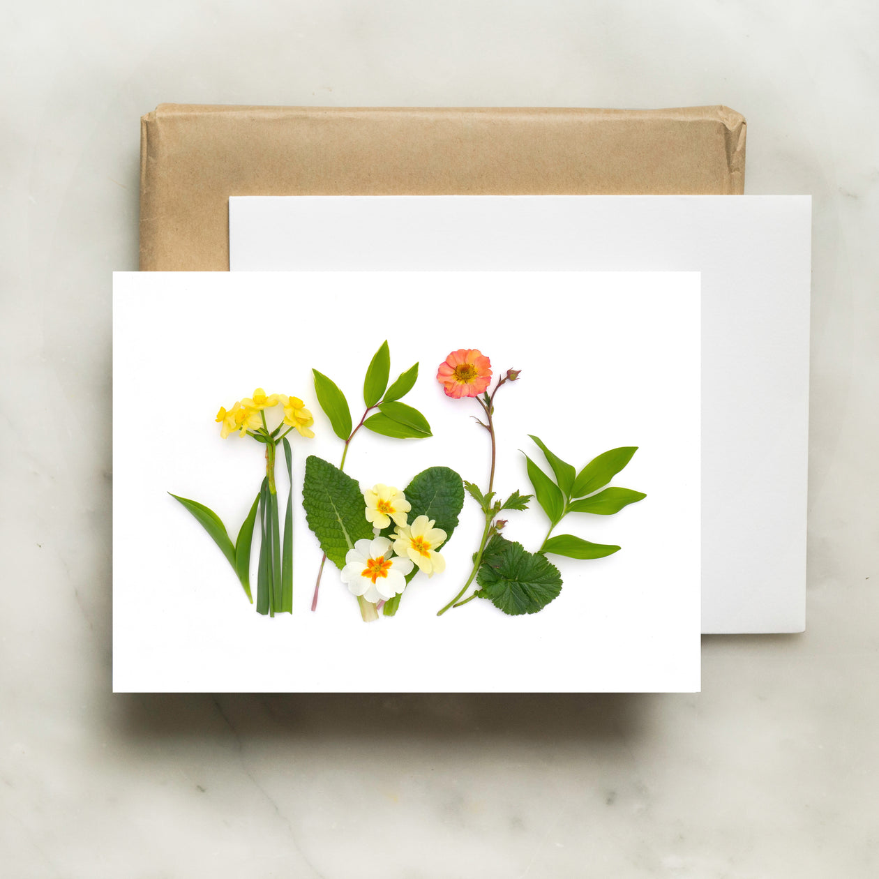 Folding card - Primrose and greens card