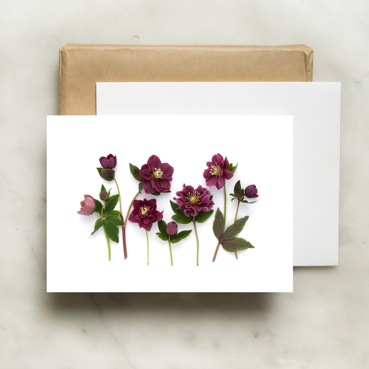 Folding card - Hellebores card